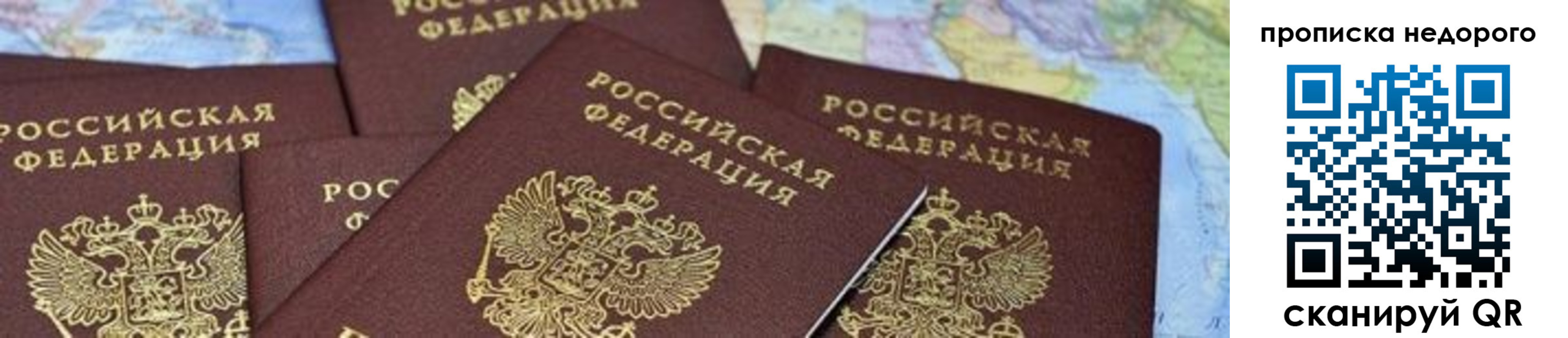 временная регистрация поиск в Александровске