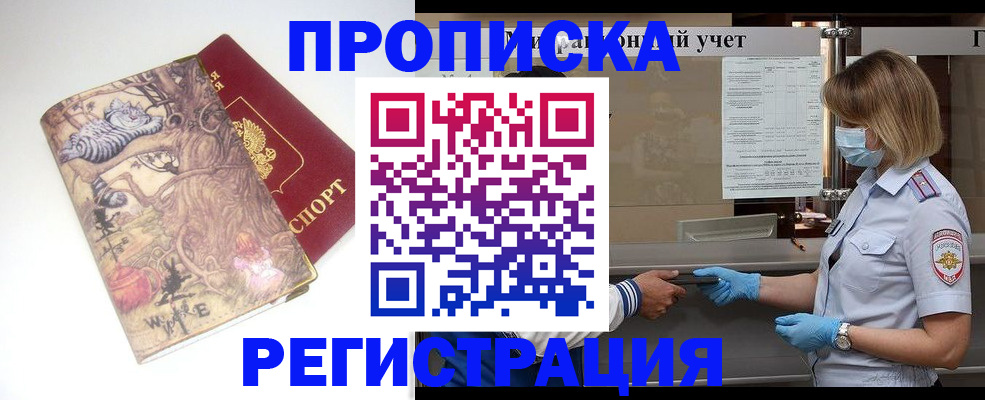 прописка иностранных граждан в Александровске